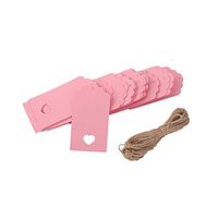 ROSENICE Kraft Paper Card Wedding Favour Gift Tag with 10M Rope 10.55.5cm 100pcs (Pink)