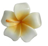 Floating Candles for Pool Asia SPA - 10 Signature Flower Frangipani Aromatherapy Relax Candle
