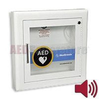 Cabinet Semi Recessed Fire Rated with Alarm & Rolled Edges - 11210-000026
