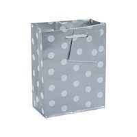 Fun Express - Small Silver Polka Dot Gift Bags for Party - Party Supplies - Bags - Paper Gift W & Handles - Party - 12 Pieces