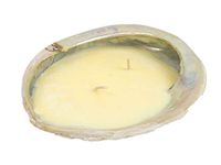 African Abalone Shell Candle - Citronella (278-51) 10UB