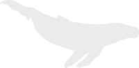 hBARSCI Humpback Whale Vinyl Decal - 5 Inches - for Cars, Trucks, Windows, Laptops, Tablets, Outdoor-Grade 2.5mil Thick Vinyl - White