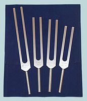 Energy Practitioner Tuning Fork Set