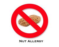 28 Nut Allergy Temporary Tattoo