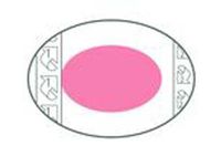 Ferris Mfg. Corp. FMC8086 Shapes by PolyMem Box of 10 Size 6.5 X 8.2 Oval FERRIS MFG. CORP. FMC8086 (... by MC