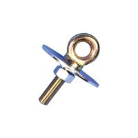RaceQuip 700060 5/8 Diameter Long Eye Bolt Hardware Model: 700060 Car/Vehicle Accessories/Parts