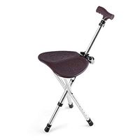 ZSMPY Cane Stool Aluminum Alloy Casual Seat Cane Cane Leisure Chair Dual Purpose
