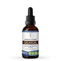 Galangal Alcohol-Free Liquid Extract, Organic Galangal (Alpinia Galangal) Dried Root Tincture Supplement (2 FL OZ)