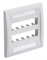Panduit CFPE10WH-2GY 2-Gang 10-Port Faceplate, White