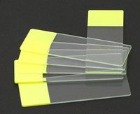 SEOH Yellow Colored End Label Microbiology Microscope Slides (pk of 72)