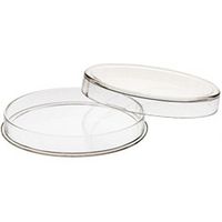 (20) 2 oz. Coin Capsule for Great Britain Silver Queen's Beast