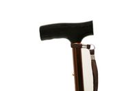 Danny's World Foldable Cane (Bronze)