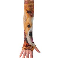 QG ZZX Fall Maple Leaves and Corgi Unisex Compression Arm Sleeves UV Protection Performance Arm Sleeve - for Outdoor Sports Baseball,Basketball,Football (1 Pair)