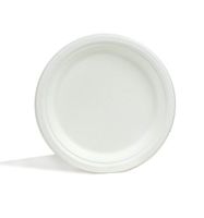 Repurpose 100% Compostable Plates | Plant Based Bagasse | 9 Inch | 125 Eco Friendly Disposable Plates