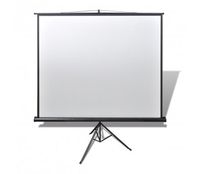 vidaXL 111'' 1:1 Portable Projector Screen Matte White Manual Pull Down Tripod Theater