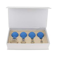 dailymall 4 Pieces Professional Cupping Cups Set - Premium Silicone Bulb and Clear Glass