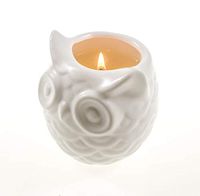 Frespersy Scented Candles Gifts for Women, Aromatherapy Candles, Home Fragrance, Natural Soy Wax with Essential Oil, Stress Relief & Decorative Jar Candles, Owl Ceramic vase, Sakura&Tea