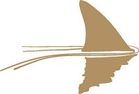 hBARSCI Shark in The Water Vinyl Decal - 5 Inches - for Cars, Trucks, Windows, Laptops, Tablets, Outdoor-Grade 2.5mil Thick Vinyl - Gold