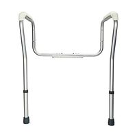 Stand Alone Toilet Safety Grab Rail Silver