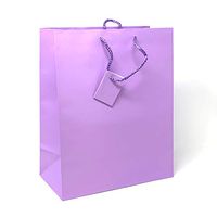 Allgala 12PK Value Premium Solid Color Paper Gift Bags (09"MED-Lavender-GP50141)
