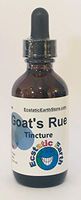 Organic Goat's Rue Tincture ~ 2 Ounce Bottle ~ Galega officinalis