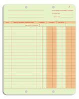 EGP One Write Ledger Card, 250 Ledgers