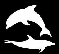 LLI Dolphins | Decal Vinyl Sticker | Cars Trucks Vans Walls Laptop | White | 5.5 x 5.1 in | LLI1280