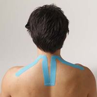 SpiderTech Neck Spider, Color: Beige (Pack of 5)