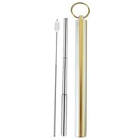 Portable Telescopic 304 Stainless Steel Drinking Straw,Reusable Travel Straw,Scratch-Proof Metal Straw (Silver)