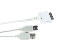 Velleman PCMP12 Y-Cable Dock to USB 2.0 + Firewire Connector for iPod, 1 Grade to 12 Grade