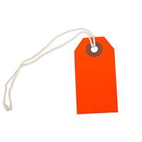 JAM PAPER Gift Tags with String - Tiny 2 3/4 x 1 3/8 - Neon Red - 10/Pack
