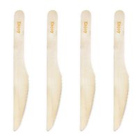 Dress My Cupcake Natural Wood Candy 200-Pack Buffet Knives DIY Kit, Enjoy, Orange