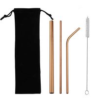 Trenton Reusable Straws, 2 Straight + 1 Curved Stainless Steel Drinking Straws with Cleaning Brushes and Carry Bag 3#