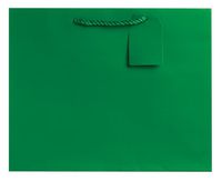 Jillson Roberts 6-Count Large 12.5" x 10" x 5" Gift Bags Available in 12 Solid Colors, Green Matte