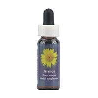 Flower Essence FES Quintessentials Arnica Supplement Dropper - 0.25 fl oz