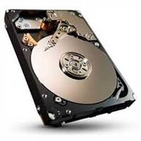 Lenovo 45N7325 Hard Drive 320 GB