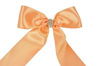 Ribbons - Peach (Set of 4) Pre-Made 1-1/2" Satin Bows Rhinestone Center Design with Wire Tie - by TricaStore