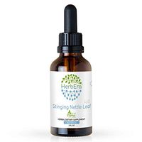 Stinging Nettle Leaf A60 Alcohol Herbal Extract Tincture, Super-Concentrated Organic Stinging Nettle (Urtica Dioica) Dried Leaf (2 fl oz)