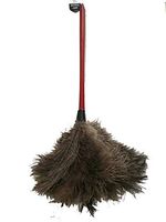 AAYU Ostrich Feather Duster 22-24" inches | Natural Feathers Duster for Cleaning and Moping Genuine w/Long Wooden Handle Eco-Friendly Easy to Use (55 cm)