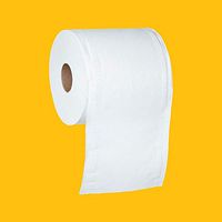 AmazonCommercial Scott High Capacity Hard Roll Tissue Center Pull Towels, 600 Towels per Roll, 2 Rolls