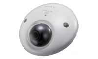 Sony Mini Dome SNCXM637 Network Camera - Color, Monochrome