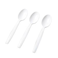 Fineline Settings 2522-WH White Spoons- BULK
