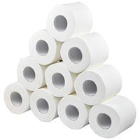 Toilet Paper, 4-Ply Natural Toilet Tissue Paper,Bulk Paper Towels,Various Options, for Home, Cafe, Shop, Restaurant etc (White, 10)