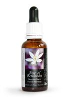 Star of Bethlehem Bach Flower Remedy Large 30ml. Genuine Traditionally Made Essence