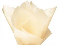 Cakesupplyshop Packaged 100 Ct Bulk Tissue Paper Leaf Green 15" X 20"