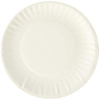 Dixie DBP06W Clay Coated Paper Plates, 6-Inch, White, 100/Pack