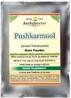 Pushkarmool Powder (Root) (Indian Elecampane) (Ayurvedic Respiratory Care Formulation) (Ayurvedic Herbs from Natural Habitat) 16 Oz, 454 GMS 2X Double Potency