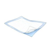 Tendersorb Underpad Quantity: 24" W x 23" D Bulk - Casepack of 200
