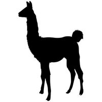 Llama Decal Sticker (Black), Decal Sticker Vinyl Car Home Truck Window Laptop