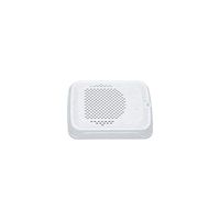 System Sensor SPWL